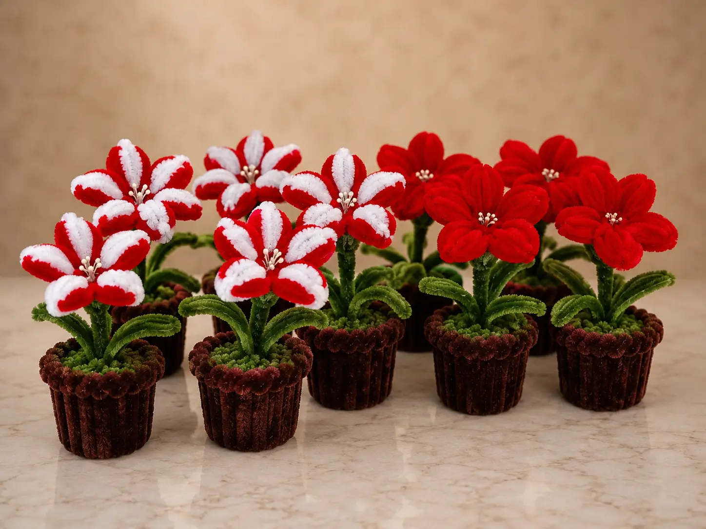 Maceta Lilys